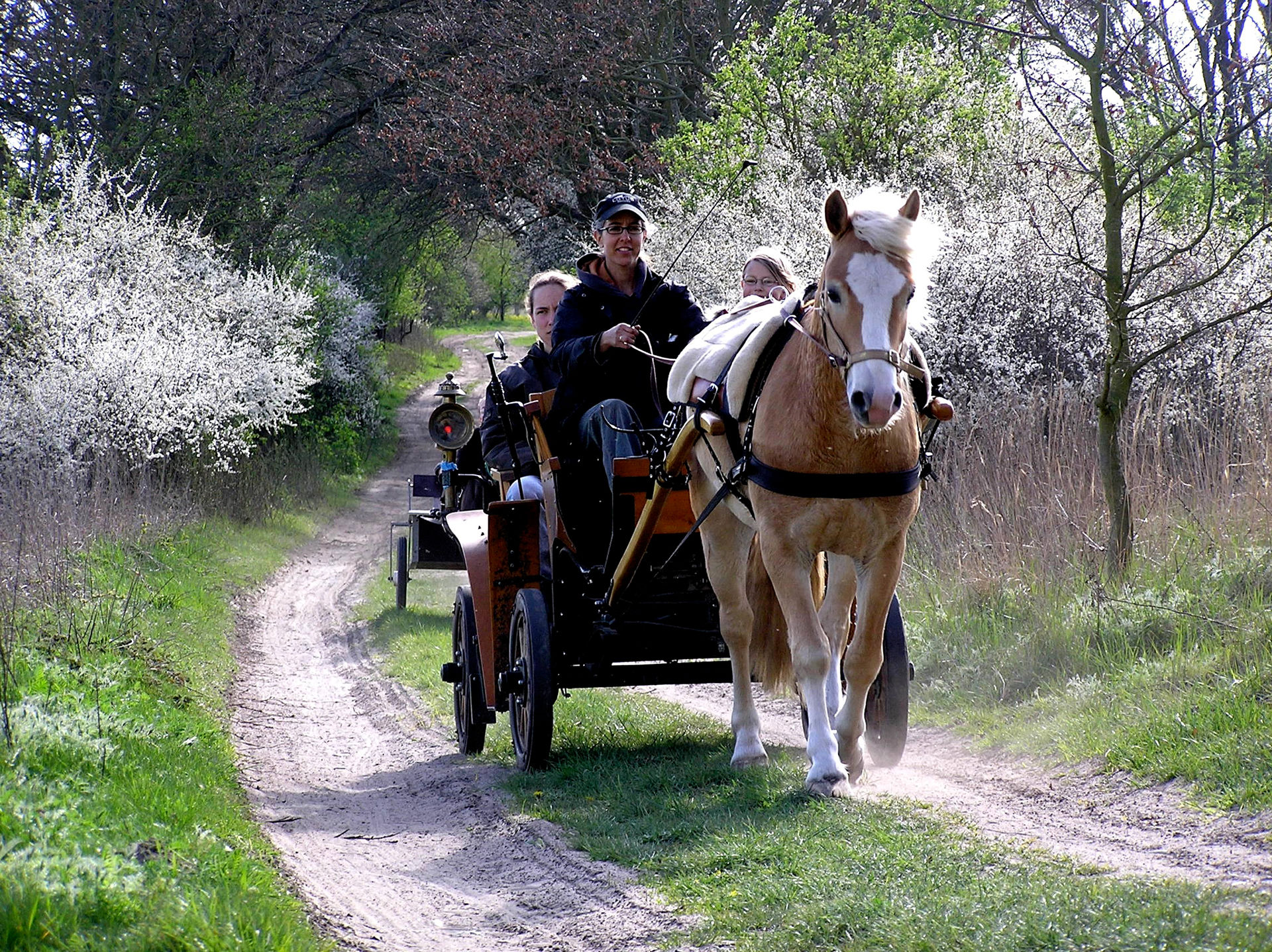 Aktiv in der Natur