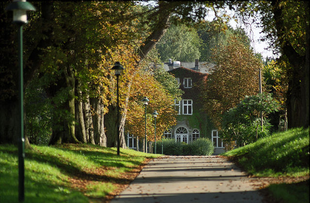 Steinreiches ParkLand