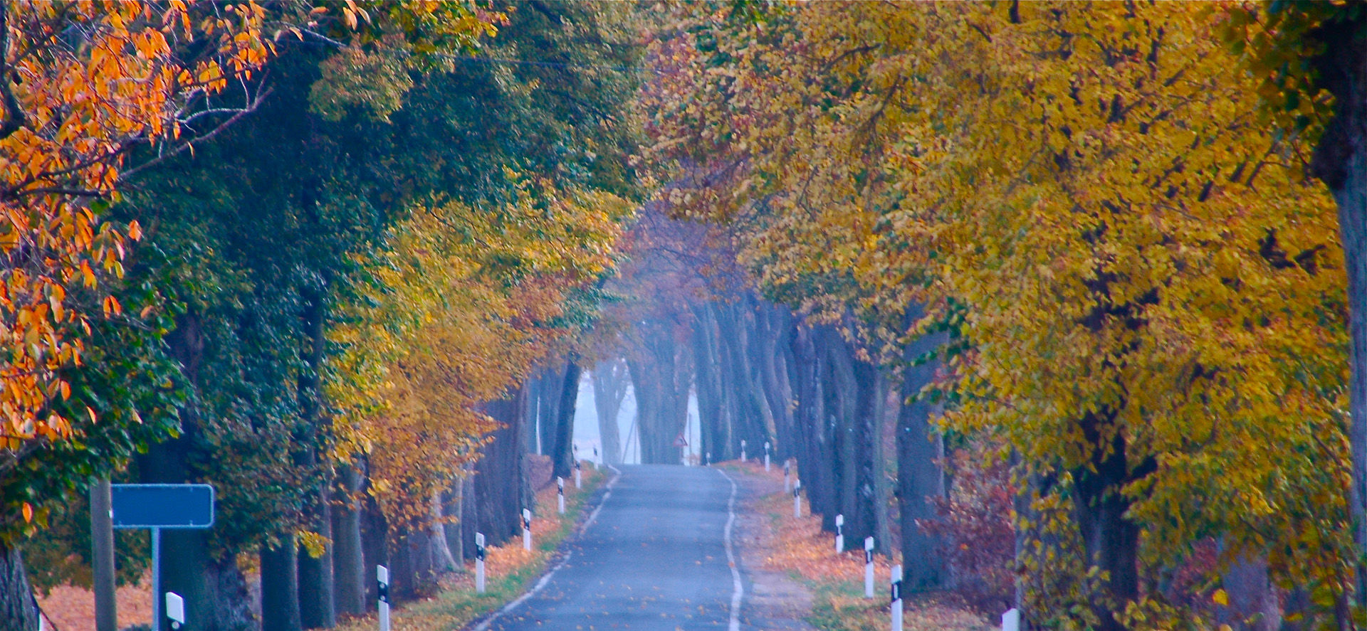 Auf Gutswegen unterwegs