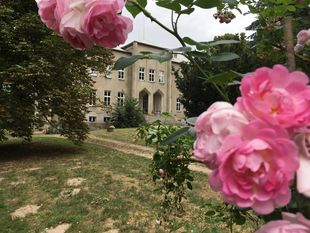 Hofladen "Lisbeth und Irene" im Schloss Wardow