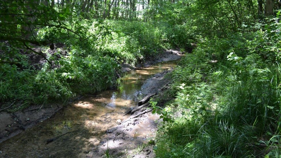 Wandern_im_Recknitztal_Maibachtal