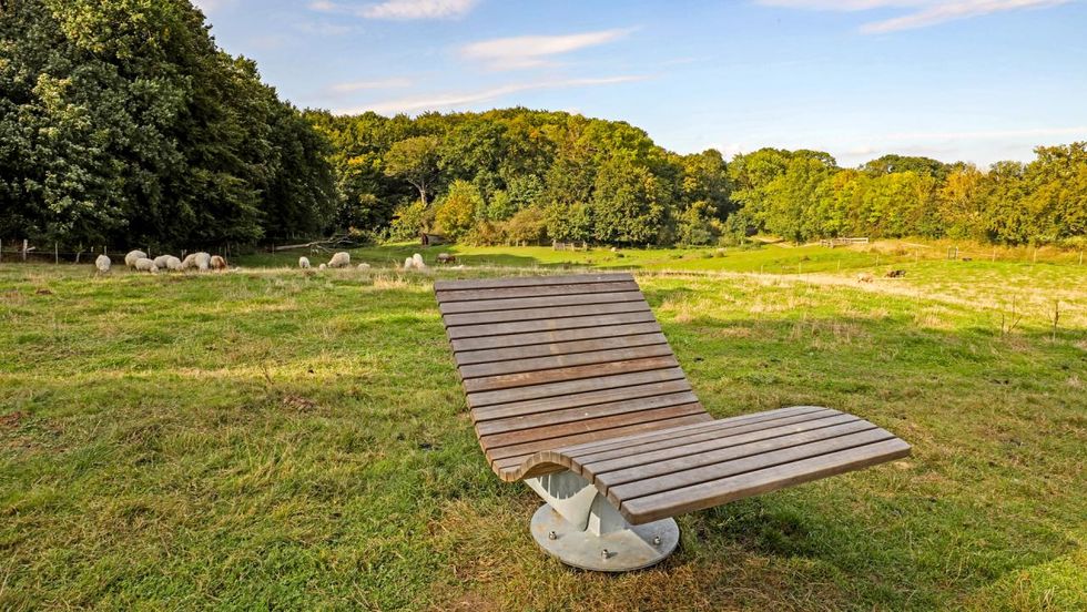 Archepark - Haustierpark Lelkendorf auf dem Astrolehrpfad_3