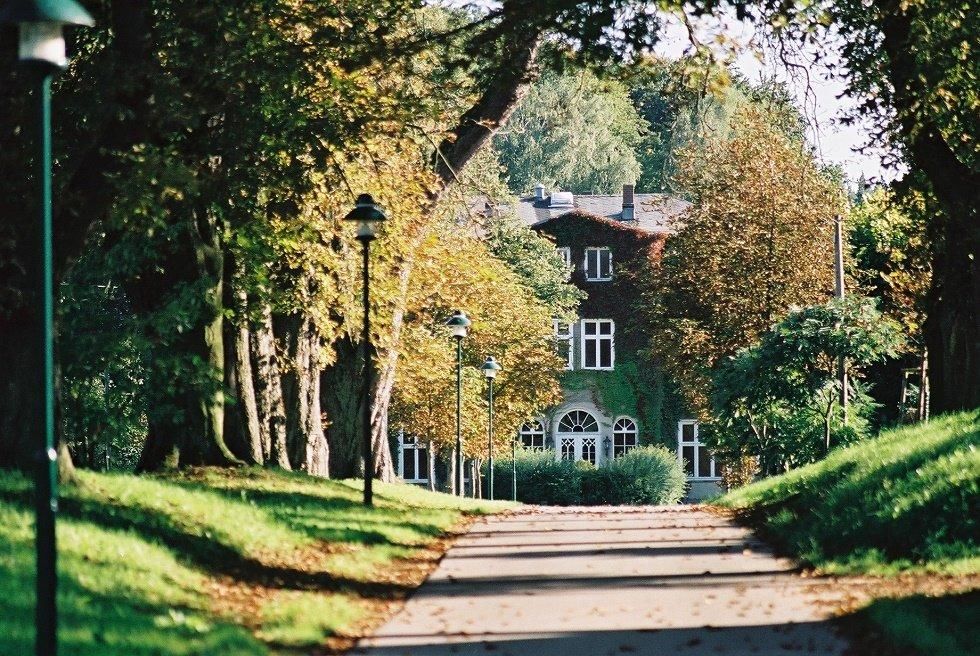 Blick durch die Allee zum Gutshaus Wesselstorf