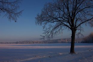 Meditative Wanderung zur Jahreszeit Meditative Wanderung zur Jahreszeit