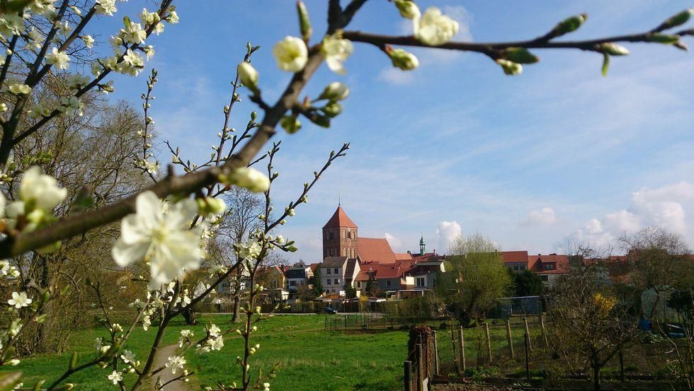 Blick auf die Stadtkirche St. Peter und Paul