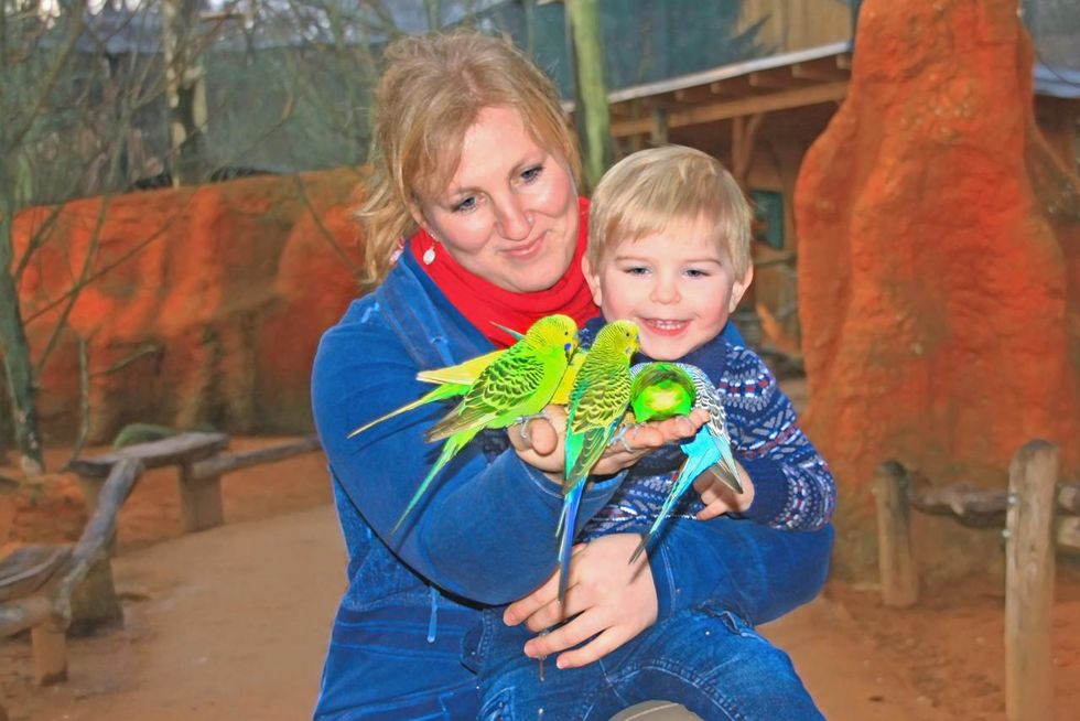 Wellensittiche füttern im Vogelpark Marlow