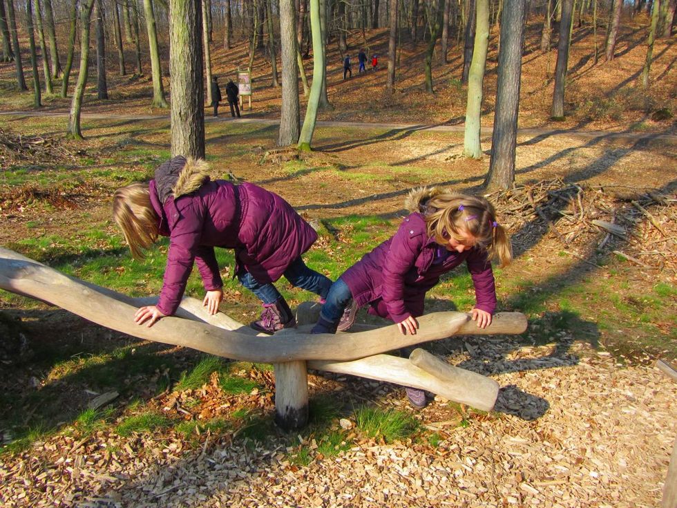 Spielelement auf dem Walderlebnispfad