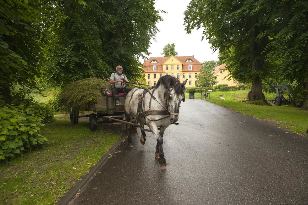 Pferdewagen vor Lühburg (Christin Drühl)