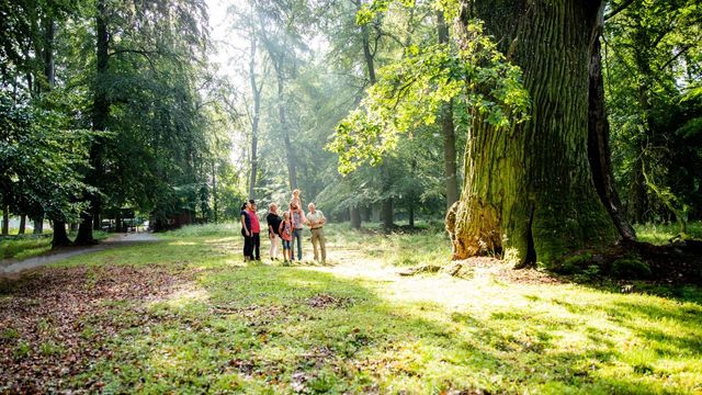 Nationales Naturmonument Ivenacker Eichen