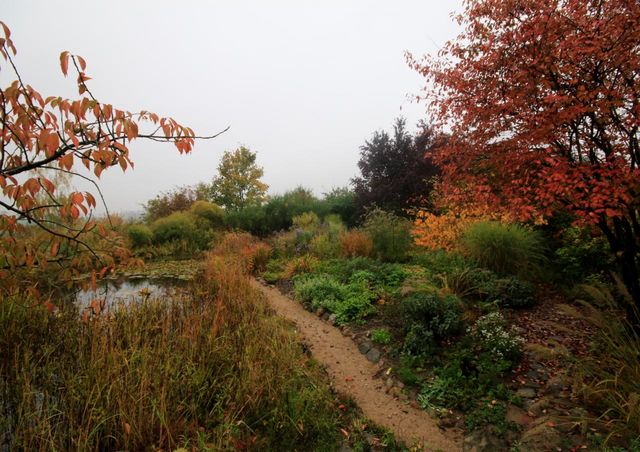© Claus Gering Wassergarten am Sündenborn