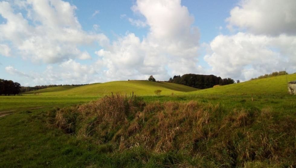 weg-zum-ehmkendorfer-moor