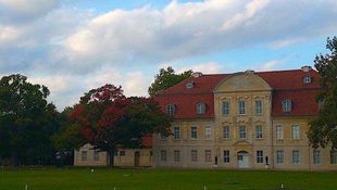 Einblicke in die Fotografische Sammlung mit einem Ausflug in die neue Romantik – Der Gespensterwald von Andreas Mühe Einblicke in die Fotografische Sammlung mit einem Ausflug in die neue Romantik – Der Gespensterwald von Andreas Mühe