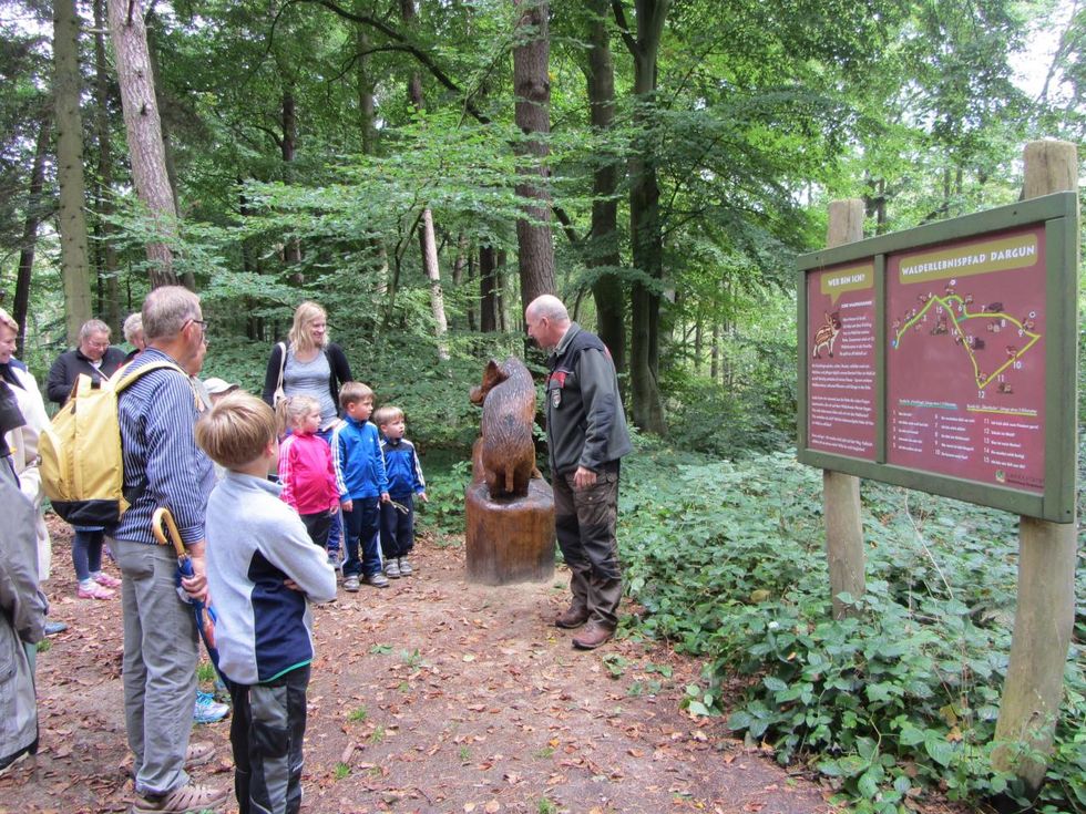 Forstamt führt durch den Wald