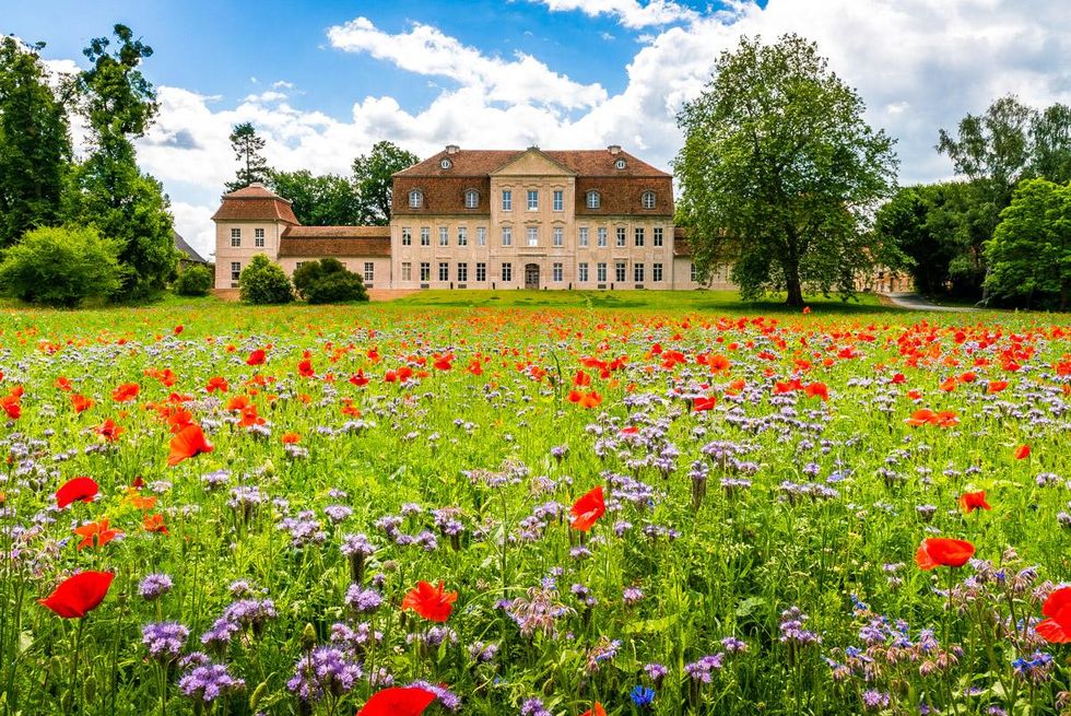 schloss-kummerow-nordfassadealexander-rudolph-2017