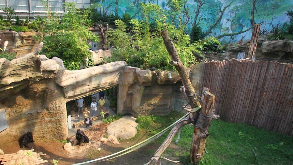 Zoo Rostock - Mecklenburger Parkland