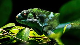 Foto-Workshop im Zoo Rostock
