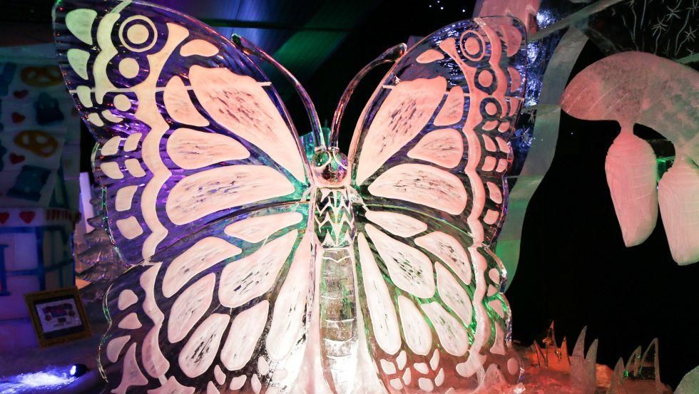 Eiswelt Schmetterling