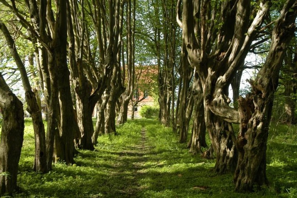Waldpark Hessenburg