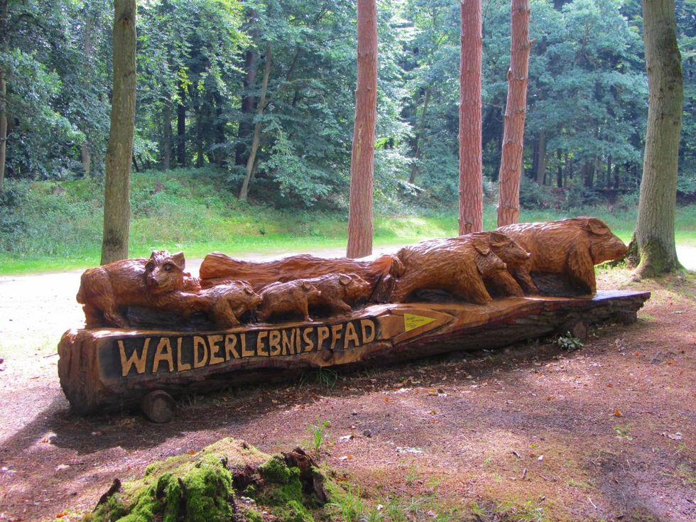 Eingang Walderlebnispfad