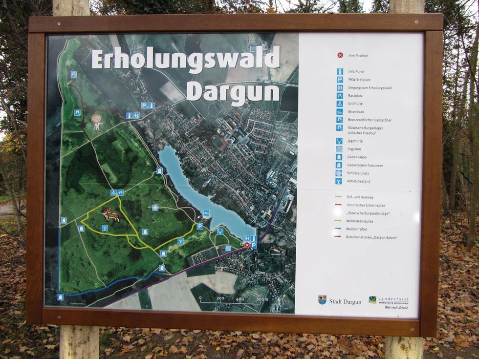 Darguner Erholungswald