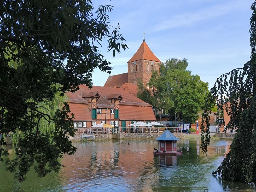 Blick über den Mühlenteich
