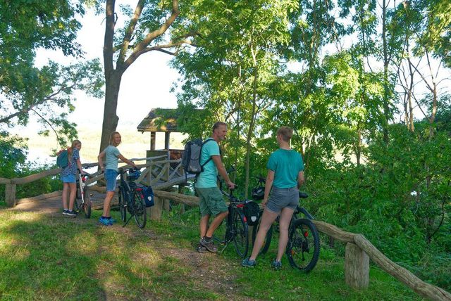 Beobachtungsturm Burgwallinsel Teterow