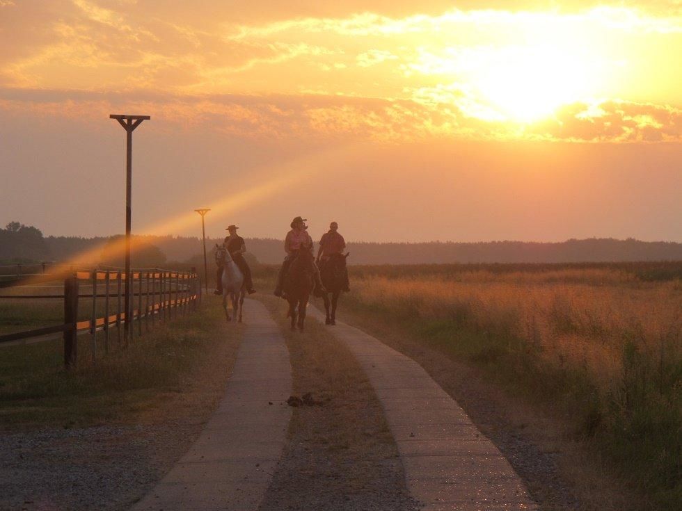 In MV können Sie mit Ihrem eigenen Pferd in den Urlaub fahren und den Alltag hinter sich lassen