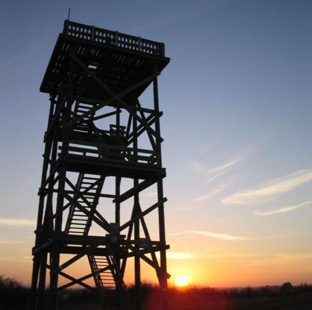 Aussichtsturm am Prangenberg