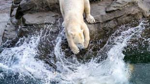 Ferienprogramm im Zoo Rostock