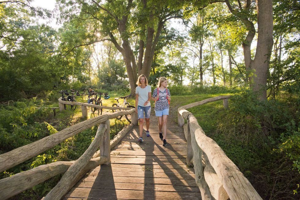 Brücke zum Beobachtungsturm