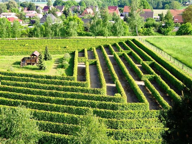 Irrgarten am Waldeck