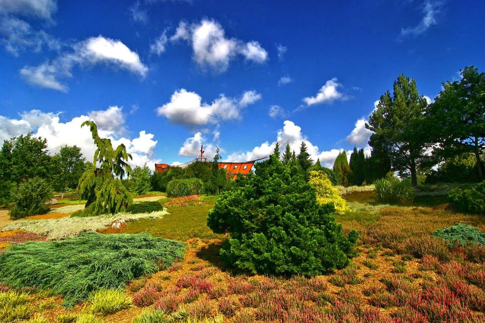 Heidelandschaft mit der Spielarche im Hintergrund, Vogelpark Marlow