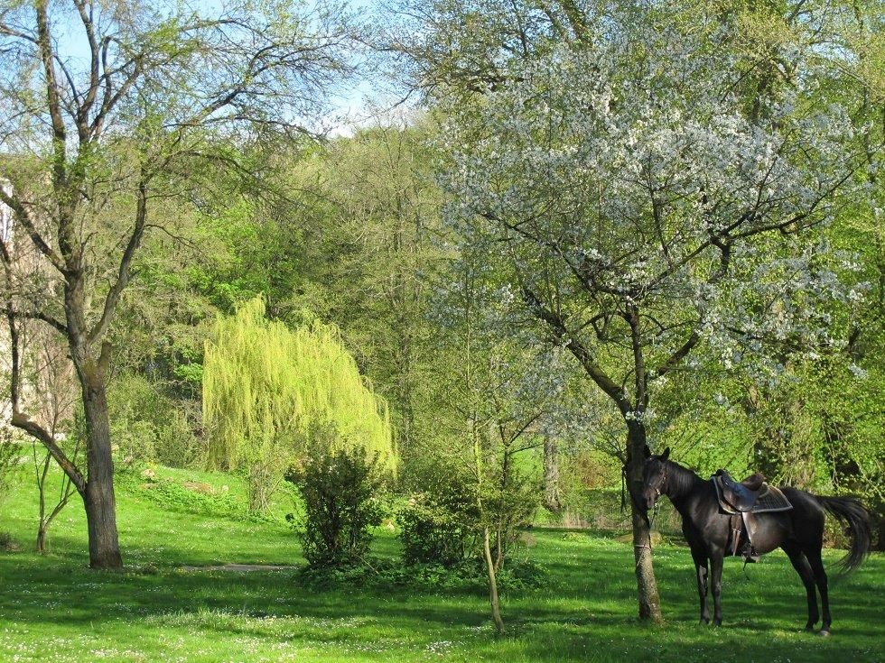 Der Frühling mit seinem satten Grün lädt zu mehrtägigen Wanderritten ein